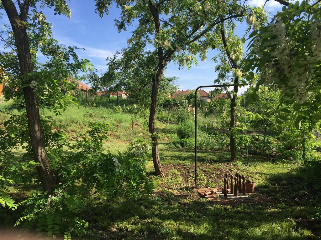 Uragya Vendeghaz Hotel Mád Buitenkant foto