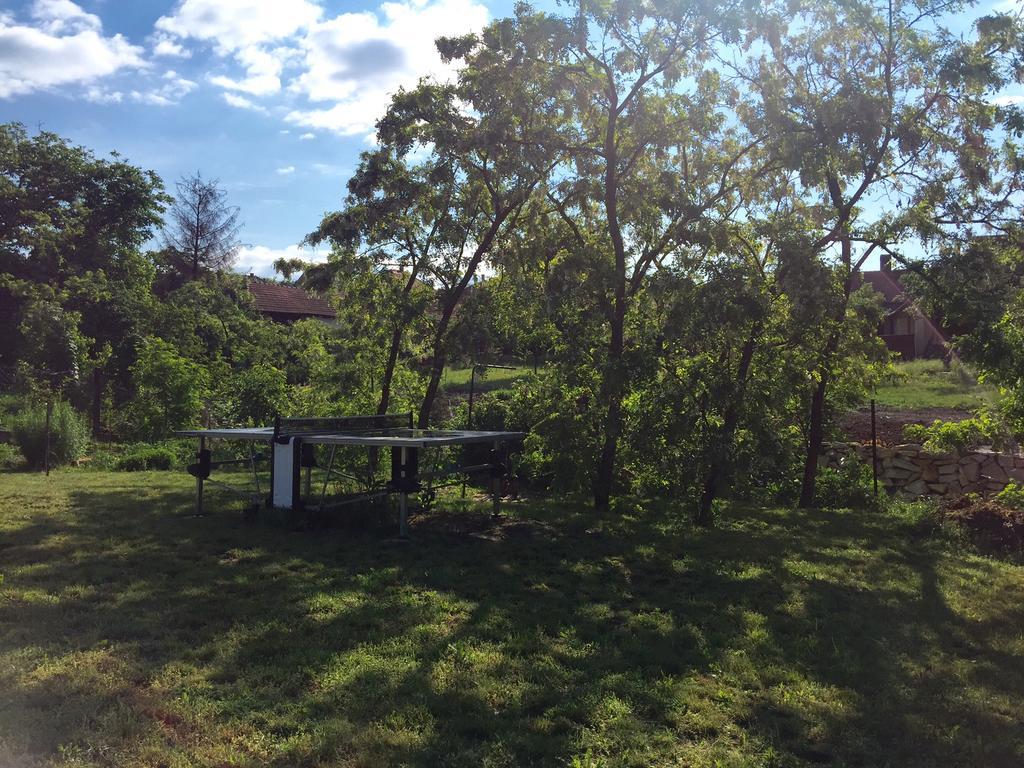 Uragya Vendeghaz Hotel Mád Buitenkant foto