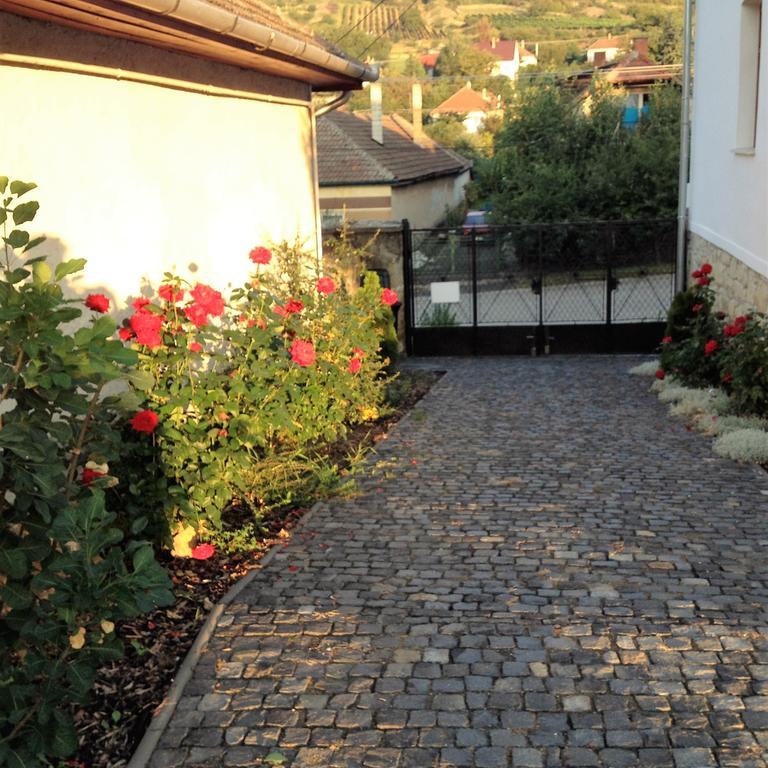 Uragya Vendeghaz Hotel Mád Buitenkant foto